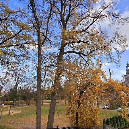 Wyjatkowy Apartament W Miliczu Kültér fotó
